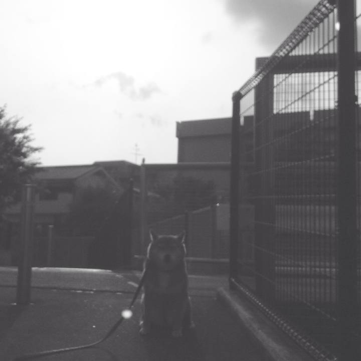 B15c03e0 0b54 4594 8d7f a34eaed1e68f