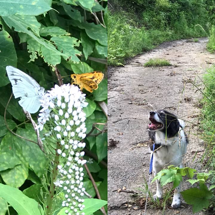 B15c0b38 6a7b 4841 9b80 5b07104229ea