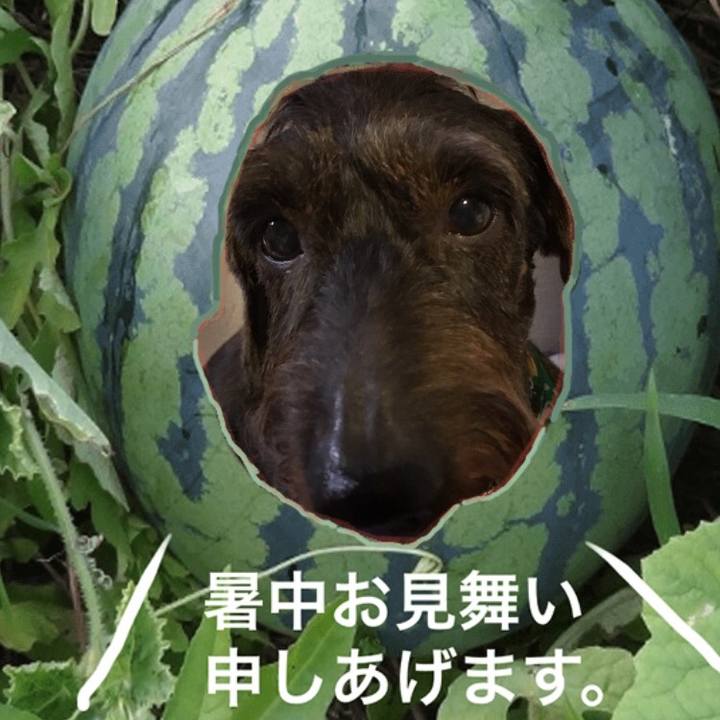 B15c68f6 0299 4317 a6ab b047aa2d2bef