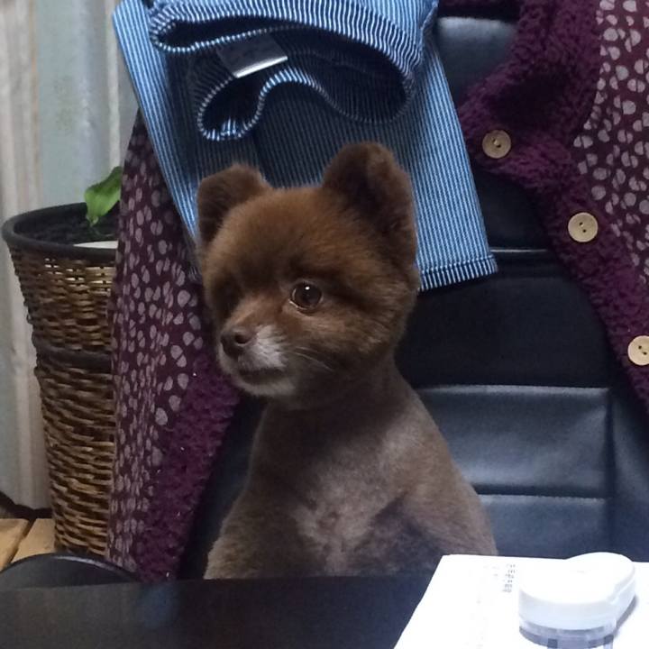 B15cbaf1 a423 46a1 9981 b7b7dd937a02