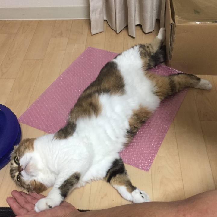 B15d042e 4e85 4bee 9a95 fc039d580005