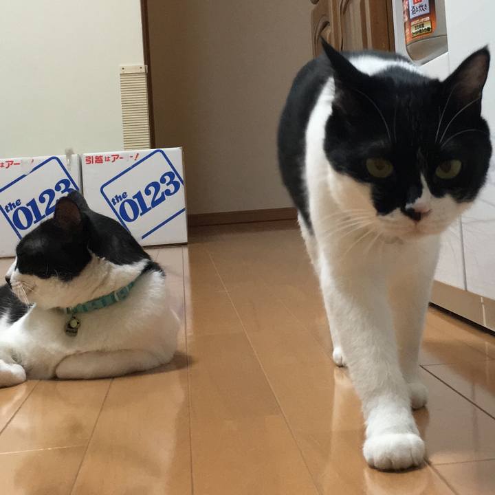 B15d51ac a309 41dc 9c60 0e337d388cba