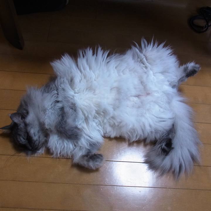 B15de3bf 478c 4cfd 86be 59877feb5cd2