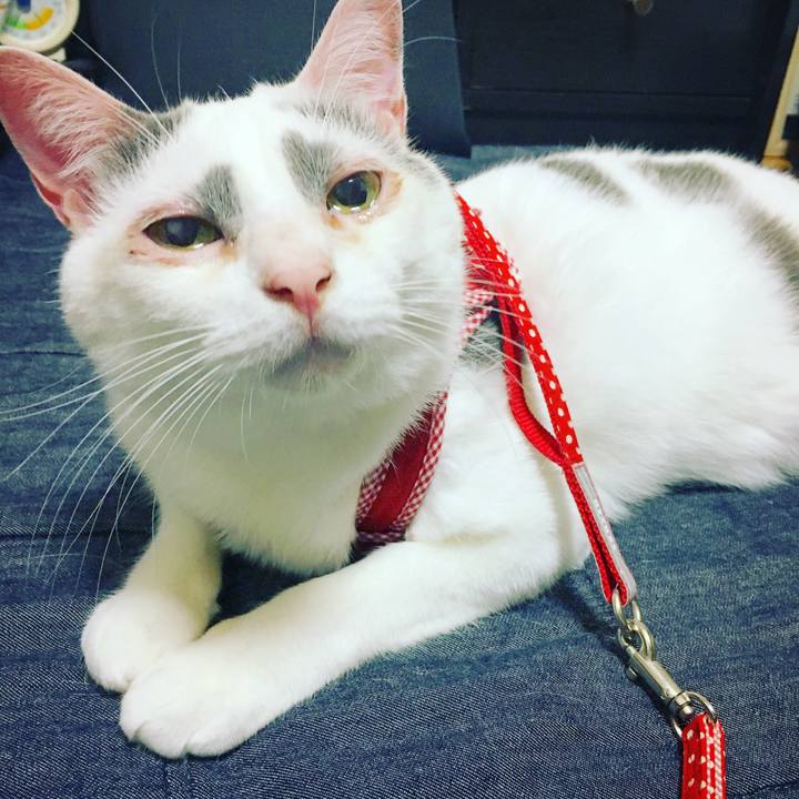 B15de43b 3fc1 4259 9577 fb6a9b601632