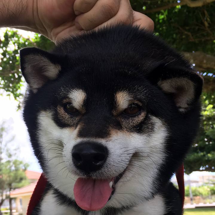 B15e56e1 e534 4144 bd7c 56a66a8b143d