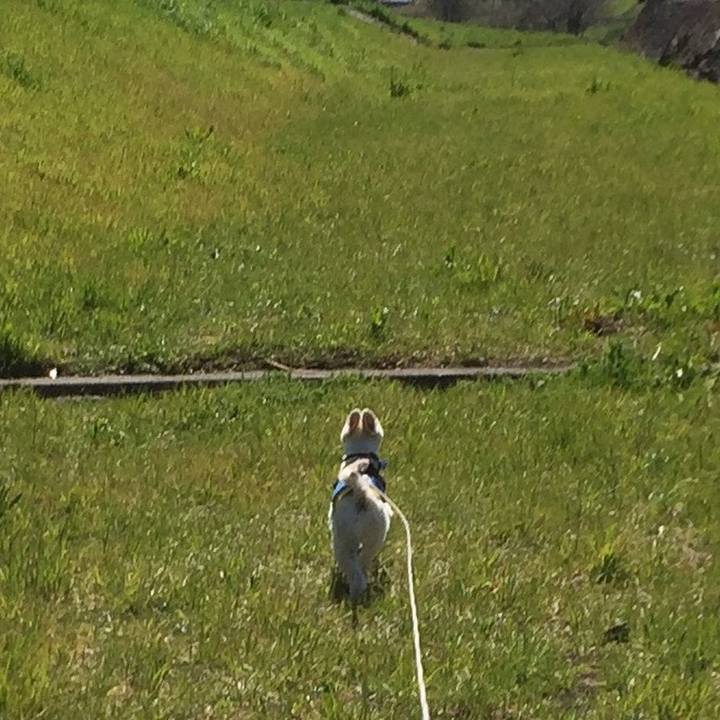 B15e64f9 9bc9 4511 8dab 8df51c10ec78