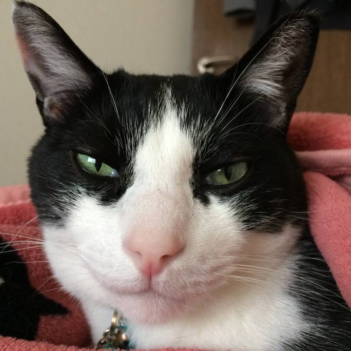 B15eaae8 310b 4eea 8e1d 869c9da677a0