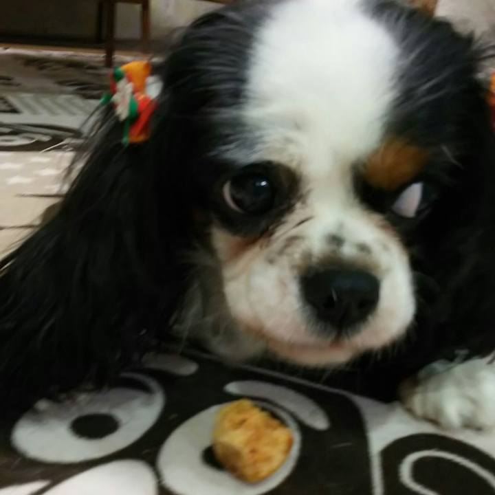 B15ed1cd d2f2 4089 a3ea 211229bd9315