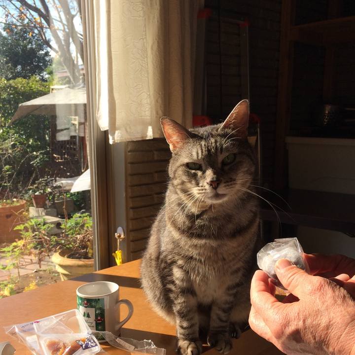 B15ed436 66ec 46e3 996c ea1867b7ef32