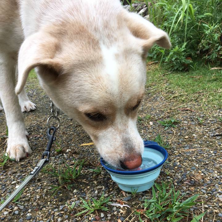 B15f6451 3de7 4786 8753 8228b8a1c99c