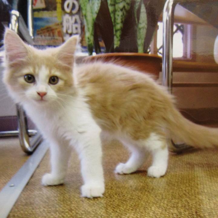 B15fdcc3 d156 45ef ae28 104e71670a68