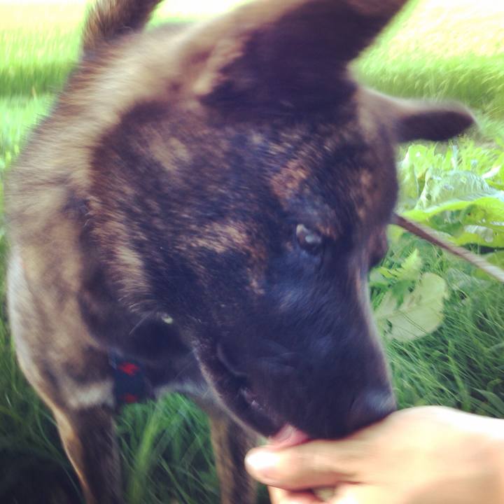 B1603fcc a215 4edb bada ad6654ff41d7