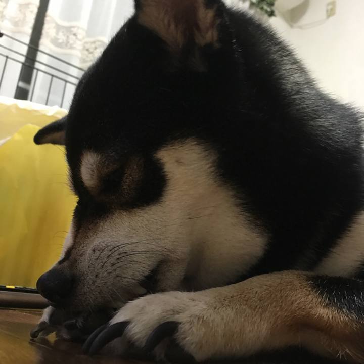 B160a216 7b48 456e 8bd3 8658204bc321