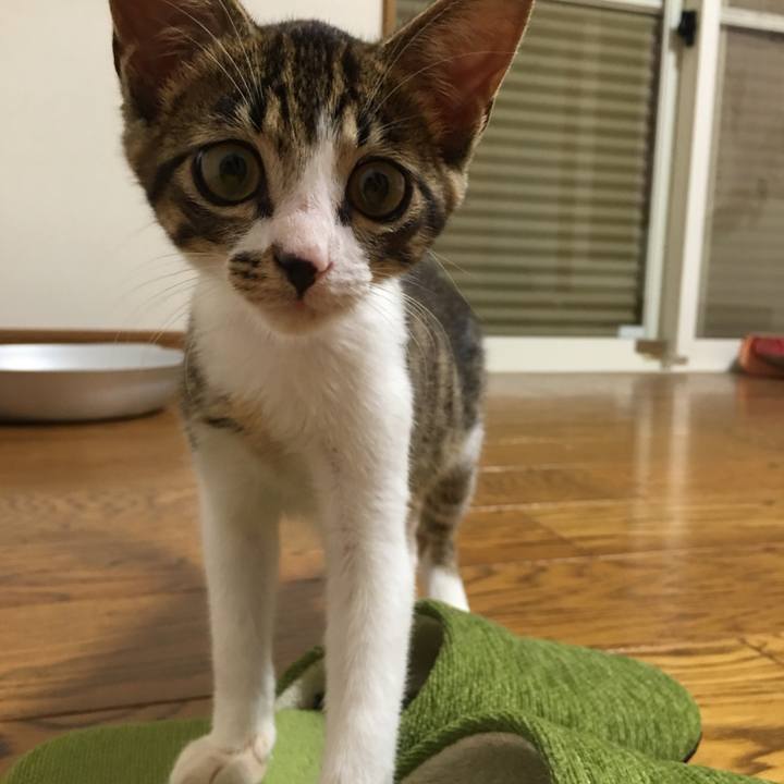 B160b3b3 7bd8 44dc 9d1b 3a7a1eafd245