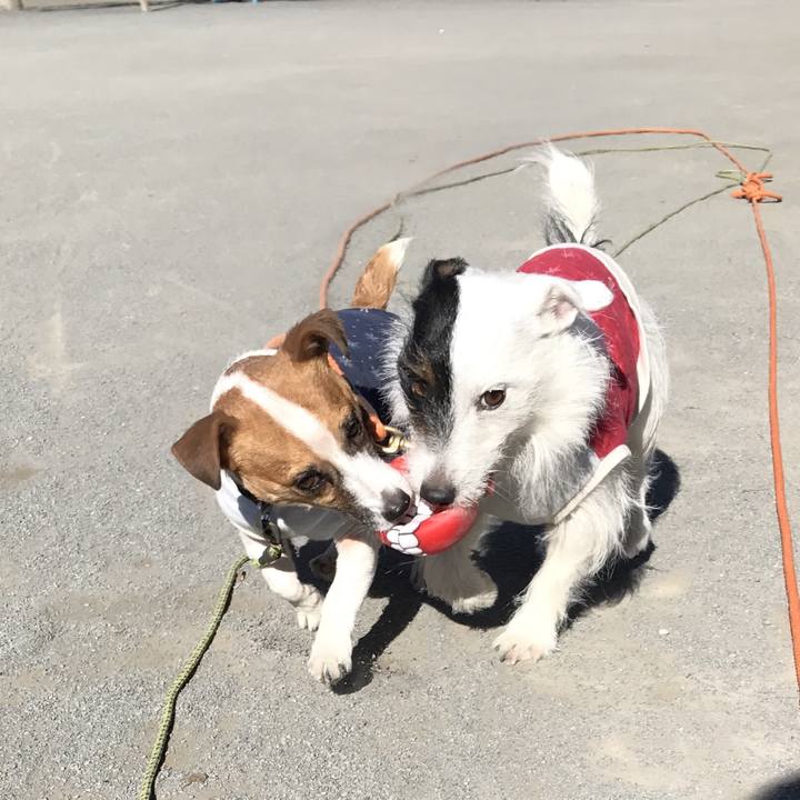 B160c9f7 d678 417c bc28 16c4302c4769