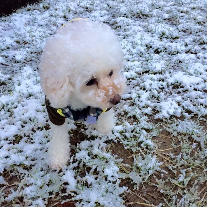 B161a11f e7e4 4e1f a823 506ce3ac6201