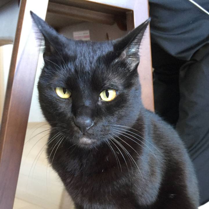 B161abe8 192d 45cb a0bd 9a6ffb8d4788