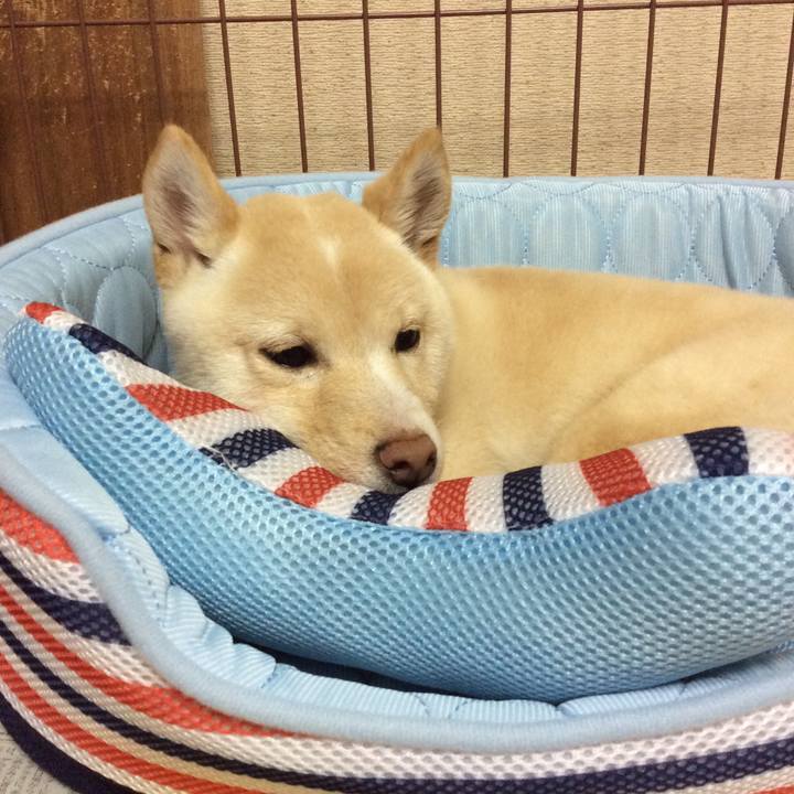 B161d31f e73f 49bf 8e69 db5bb143381f