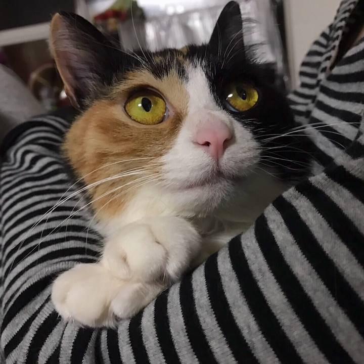 B16258eb 1a6b 4c5d 9281 be500c2e5560