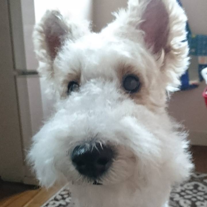 B1629192 f654 4f77 9bbc 076afef622c8