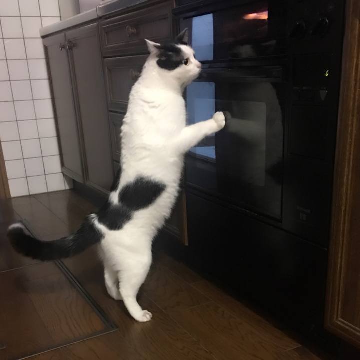 B162b74a 519d 4673 add5 bb15cbb90ec3