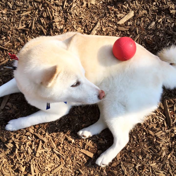 B163089a b4d9 485b bd7a 699b0a91e25f