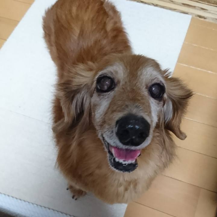 B1639065 356d 4680 94d4 b7da411b4a32