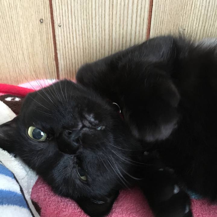 B163beb6 6450 4c2f a12c 1b732131b2ec