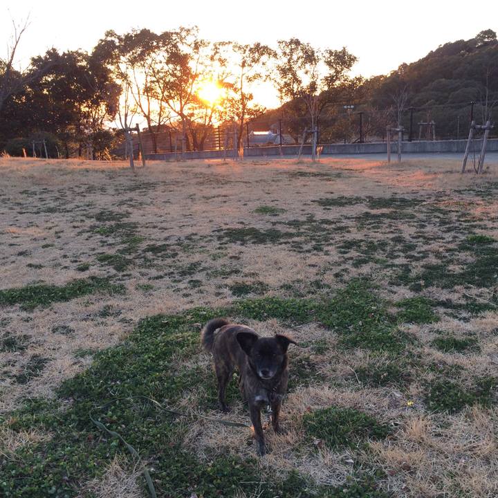 B163f11f 5457 4b34 af7a 4b06b42651ff