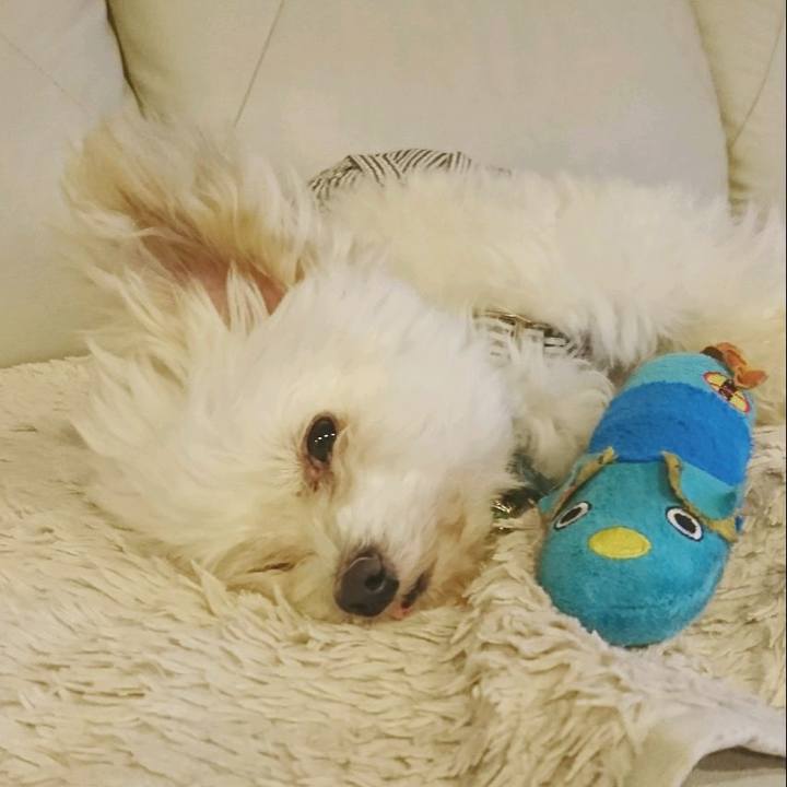 B164804c d2d8 49dc 82d2 c4e985068521