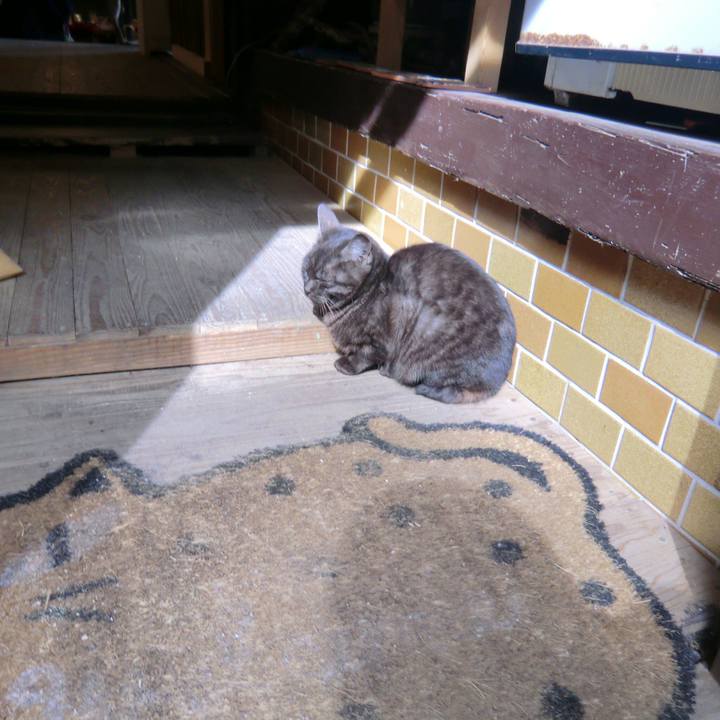 B164854e 19a2 4601 a280 136587ab86b7