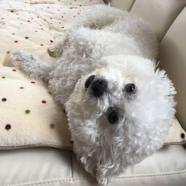 B16490a9 8720 4a7c b30b 7d3c49b5400a