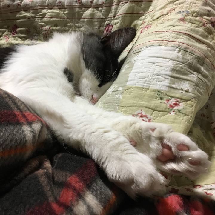 B164b967 e9a8 42c9 8df3 2e6098b57a50