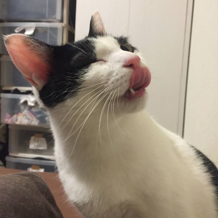 B164fc97 e4a9 4163 91de 4a763cae7e6c