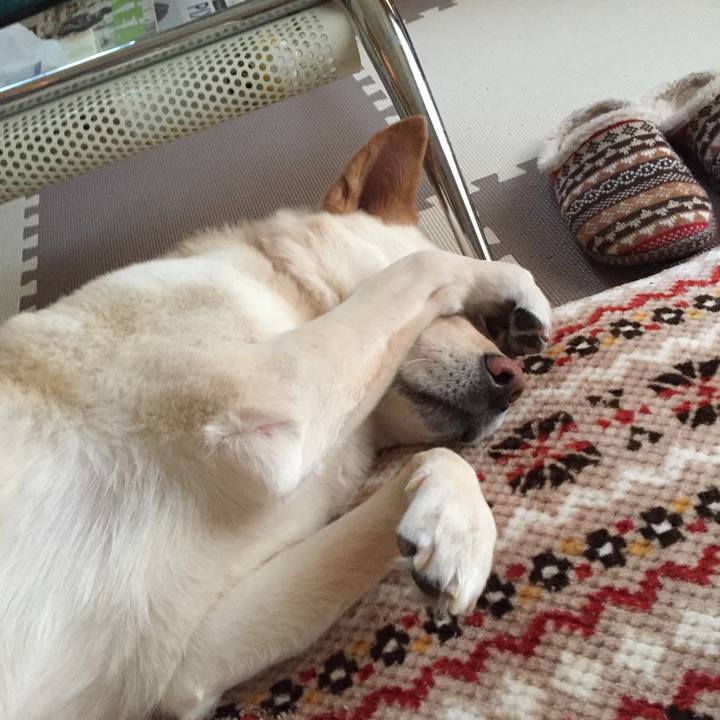 B1656135 3c01 403d 8569 62c2b3fd81f2