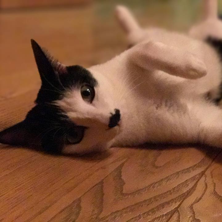 B165b0bf d9b5 4af0 9b45 af8c6724e778