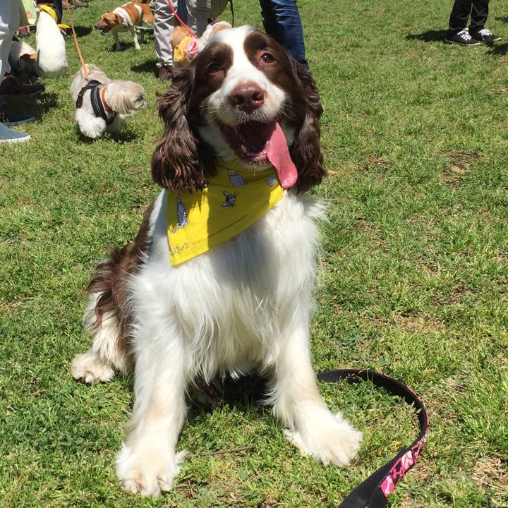 B1662beb f5cf 47a0 ad0d 0b430fde5f95