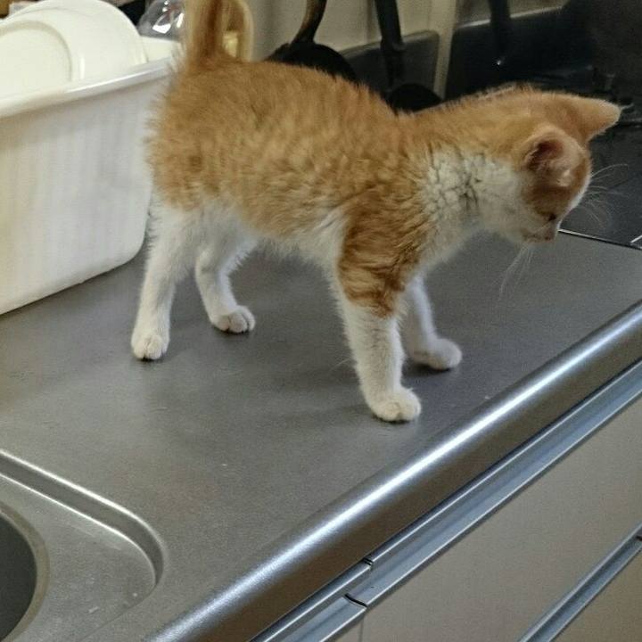 B16657fc b300 4605 8853 3e6747268726