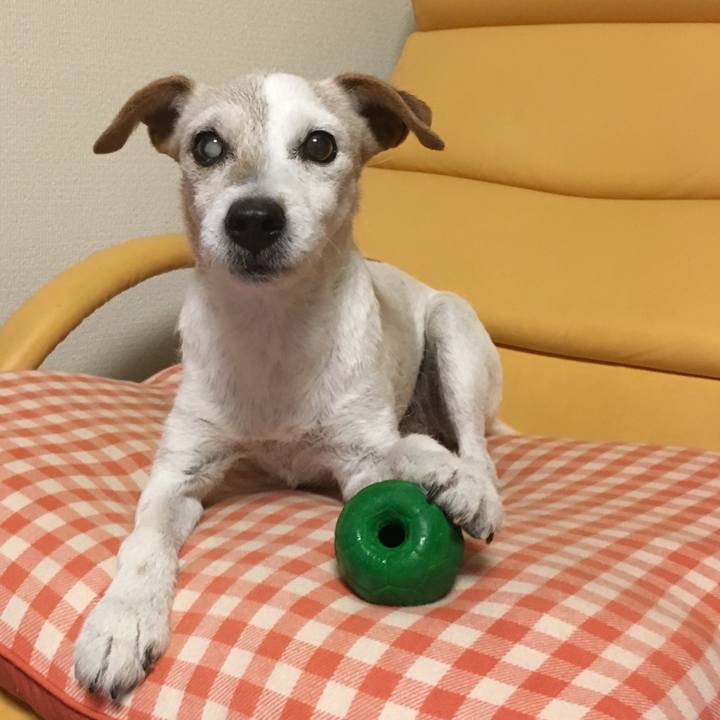 B1673286 ff53 4f4c a969 074f65c5dfef