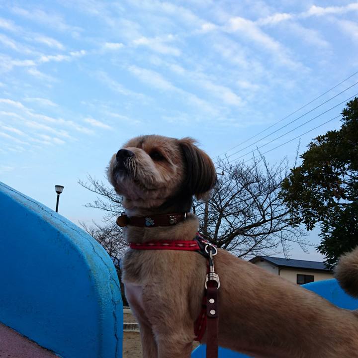 B1674af0 025d 4cd8 80f5 fc2fee8d25c6