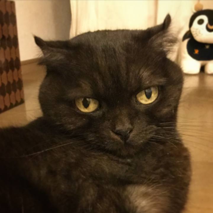 B1689fac 4c80 46e9 8f18 af6ade532ff5