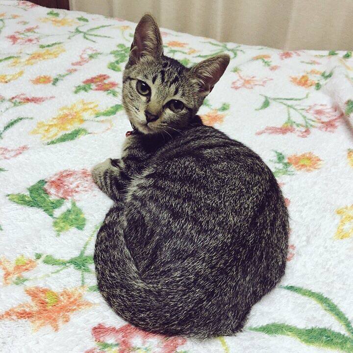 B168b961 5d37 4b3b a3dd c41b5459fe3b