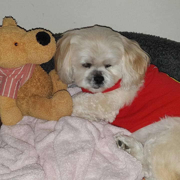 B1693410 ba99 4220 bd13 f69e9f9e6ad2