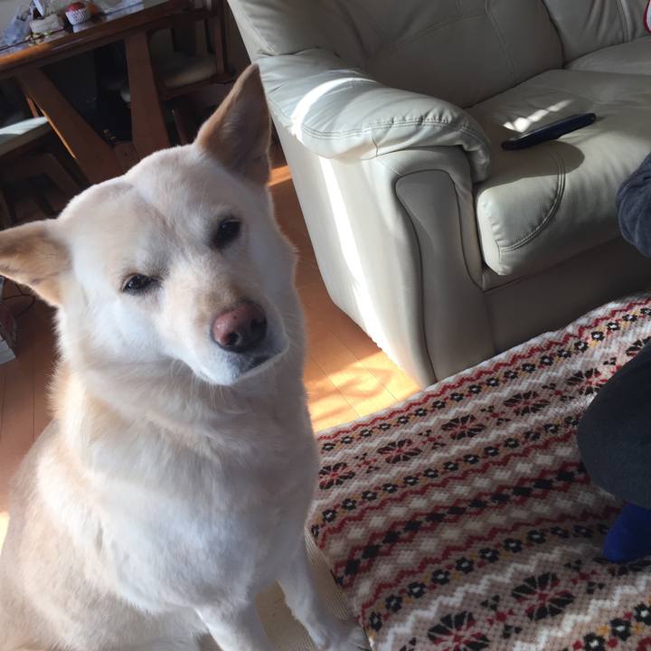 B169fa13 b9ed 4ca4 82f8 fb0a32f0fba2