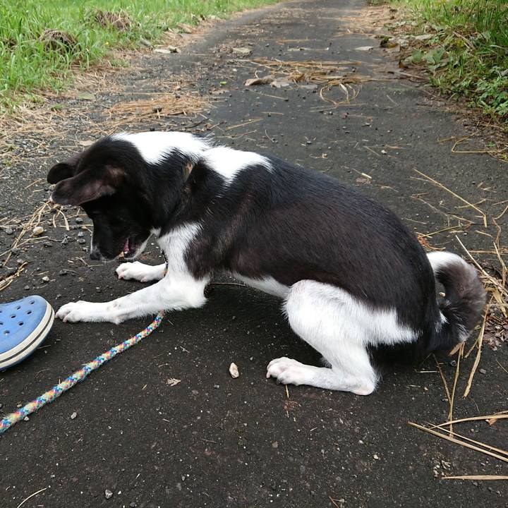 B16a01ab c741 437f aefe 3e8bbe343906