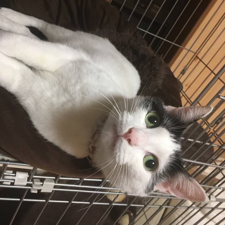 B16a633a eb5b 41bc a95a 5540f108c22d