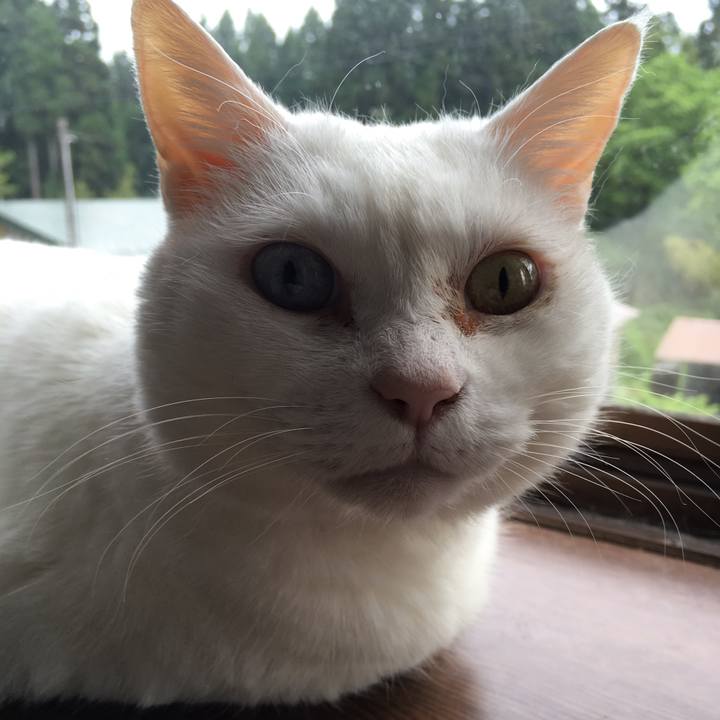 B16afd59 3d79 43c0 8721 cfaa339cb0e9