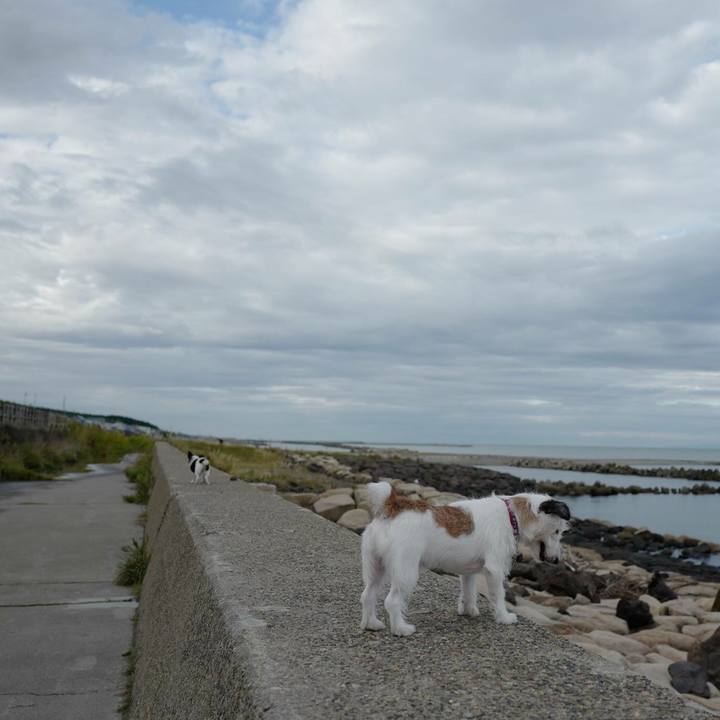 B16b1ac0 bde8 4d87 8989 b0dbd998212f