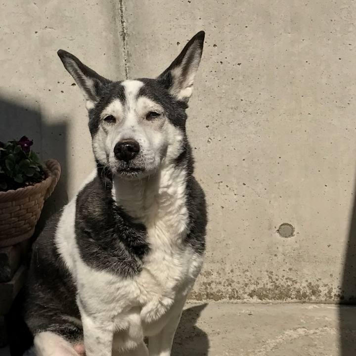 B16b23af 3e8b 4efa a14b e8ee31ab418a