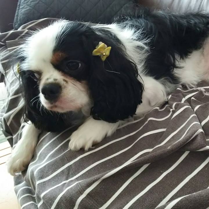 B16ba7ce 7fcf 4f89 a688 0a0f73739f28